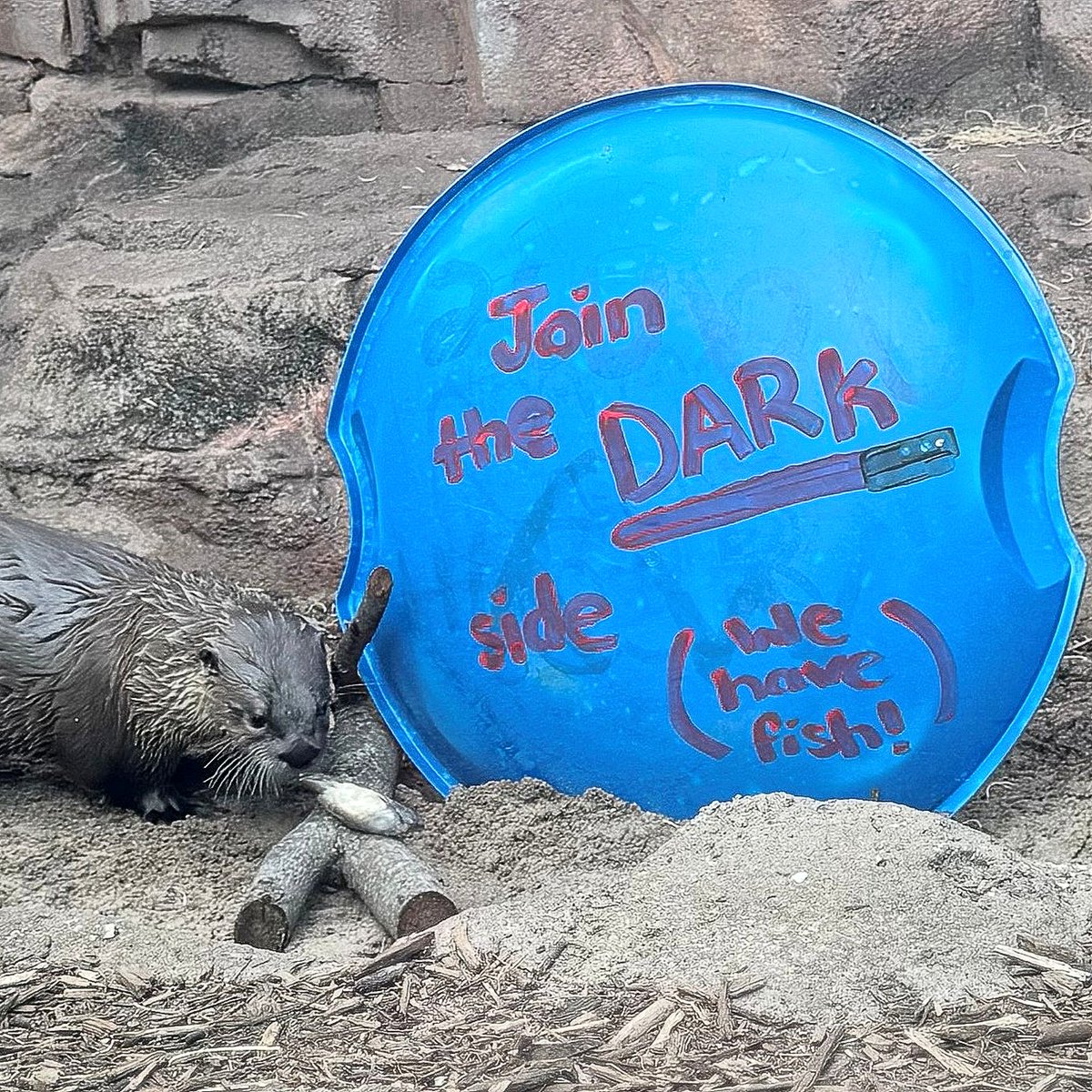 Kansas City Zoo & Aquarium tweet media