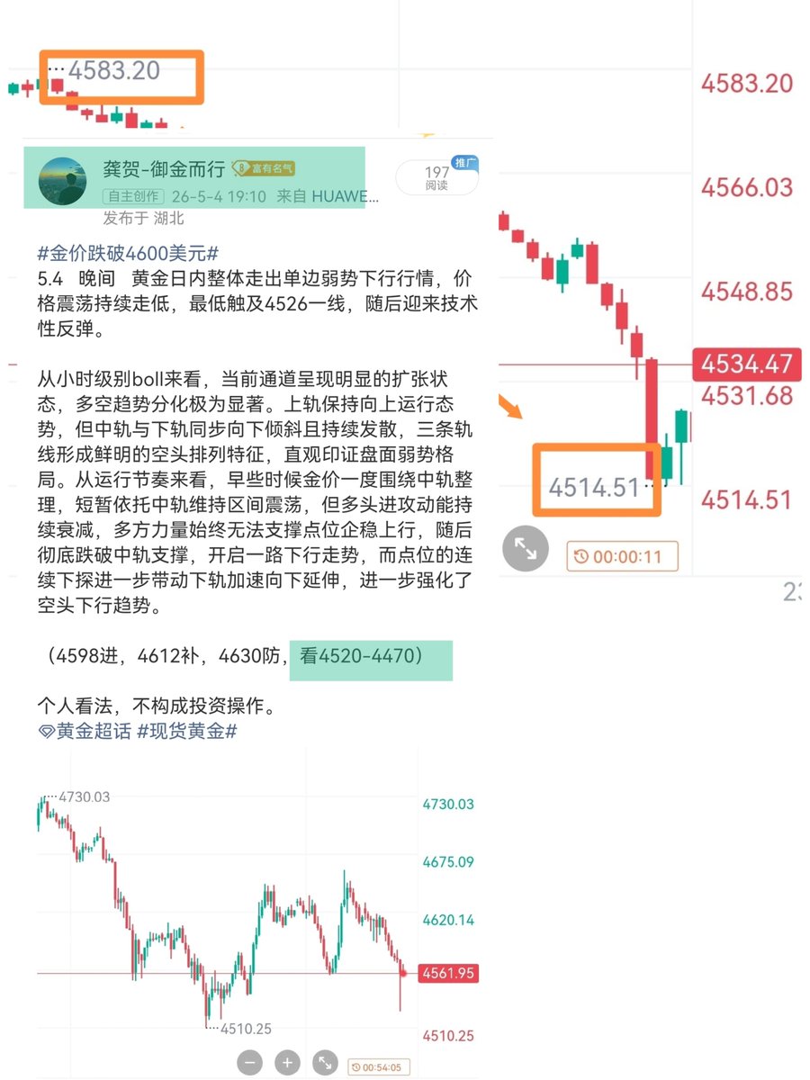 龚贺-御金而行 tweet media
