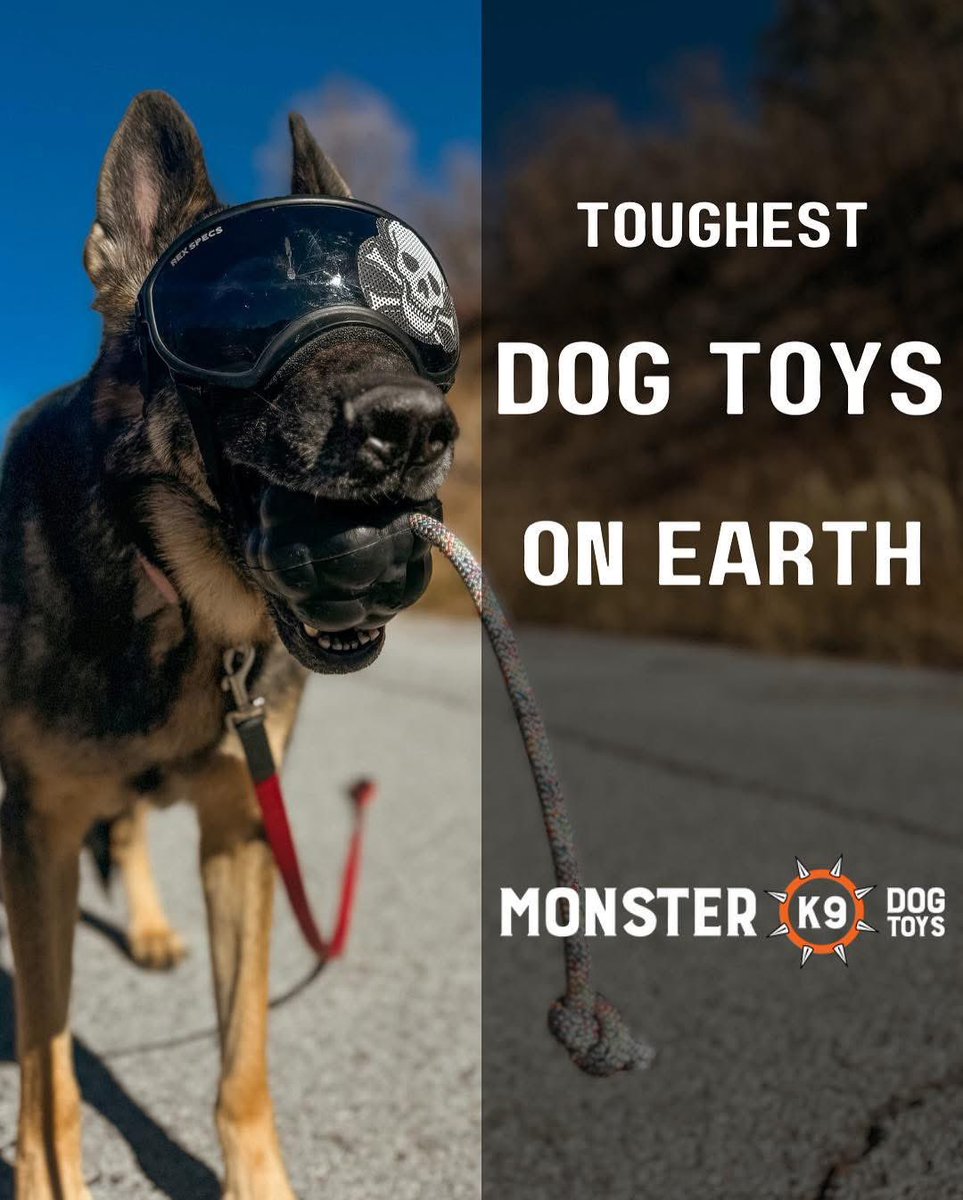 Project K9 Hero tweet media