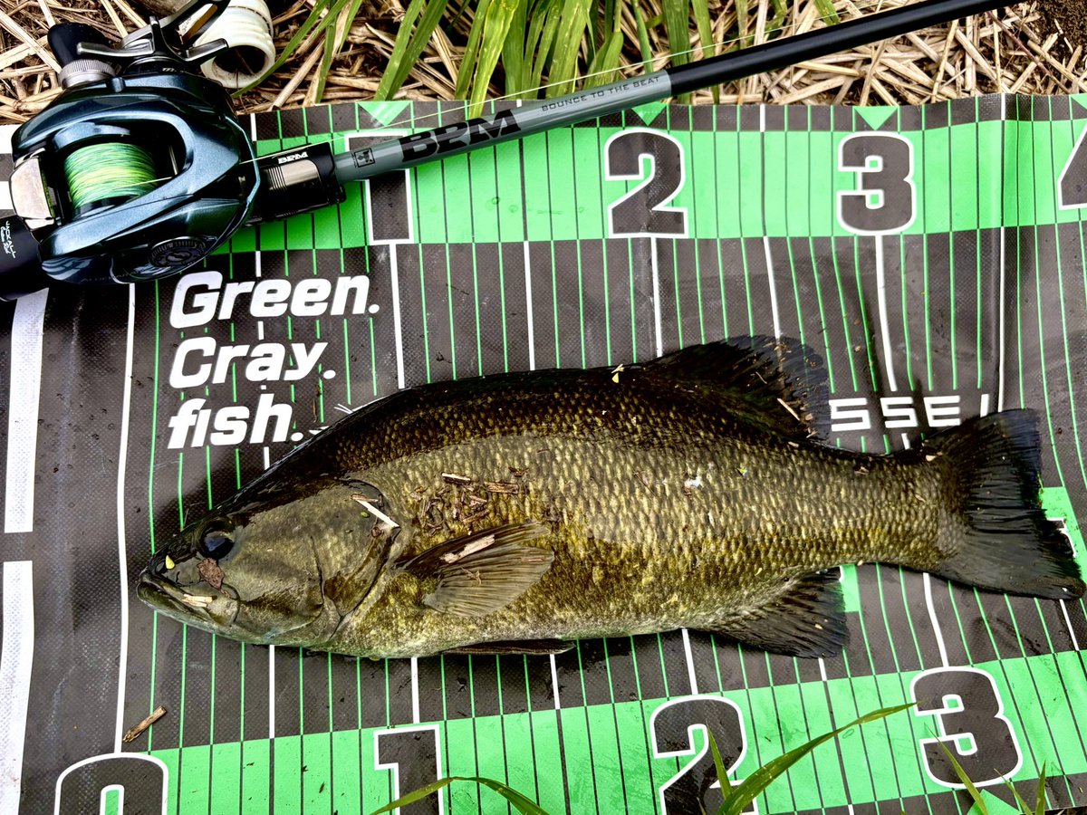 kAz_Fishing_35's tweet photo. 必ずついてるピン。 https://t.co/4PuD9beOYx
