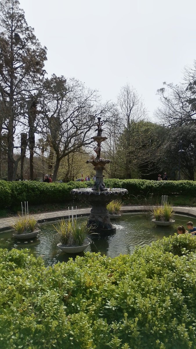 Lopezlaila1's tweet image. #Botanical Garden #Montevideo #Uruguay