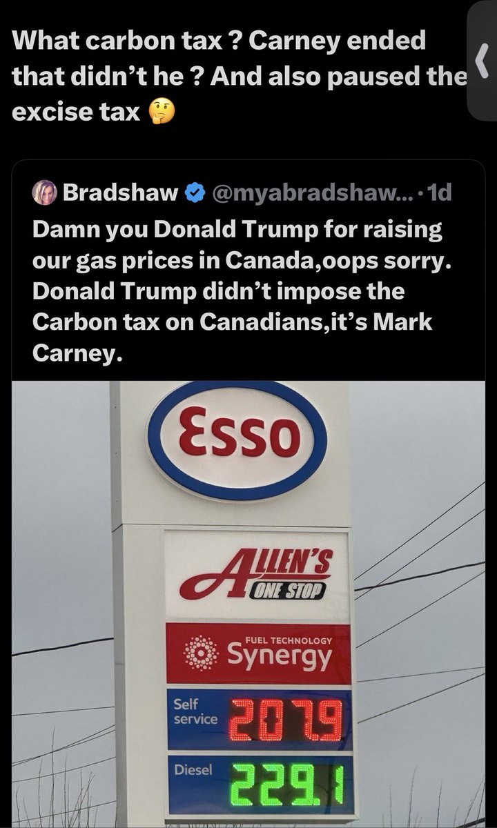 Brattani tweet media