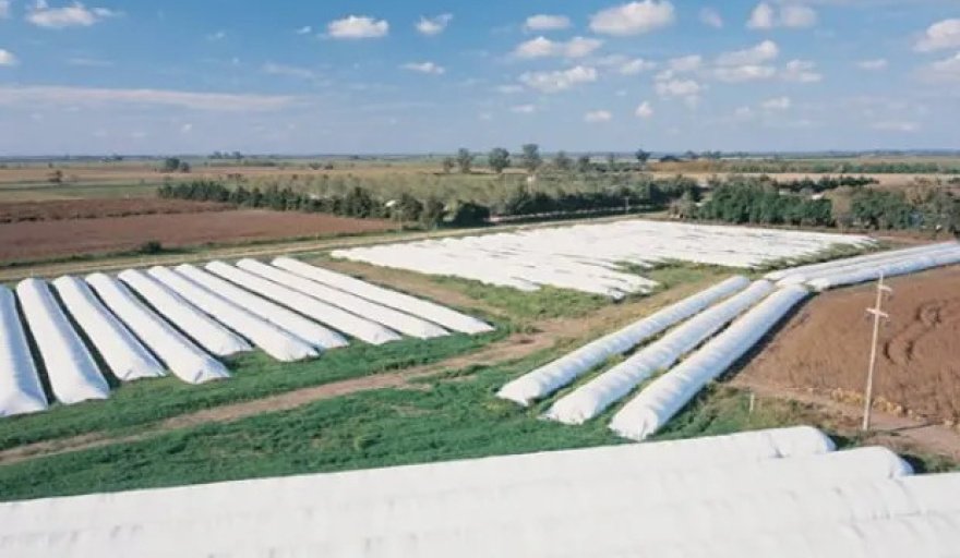📌#Provincia | Caída de la recaudación 

El campo liquida menos dólares y el bolsillo argentino lo nota

🔗acortar.link/QNbx0G