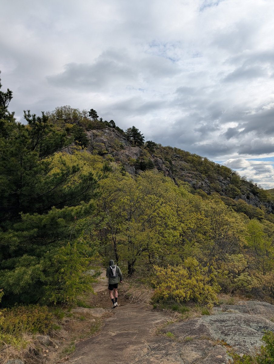 Uhdept's tweet photo. First race of the year ☑️

That was hard. Really tricky course with multiple scrambles. Cant wait to run it back next year and do the full marathon.

Really happy with the time, finished ahead of my goal time and pushed through some pretty major cramping. 

33miles in 12 days. https://t.co/XuffnUTBrw