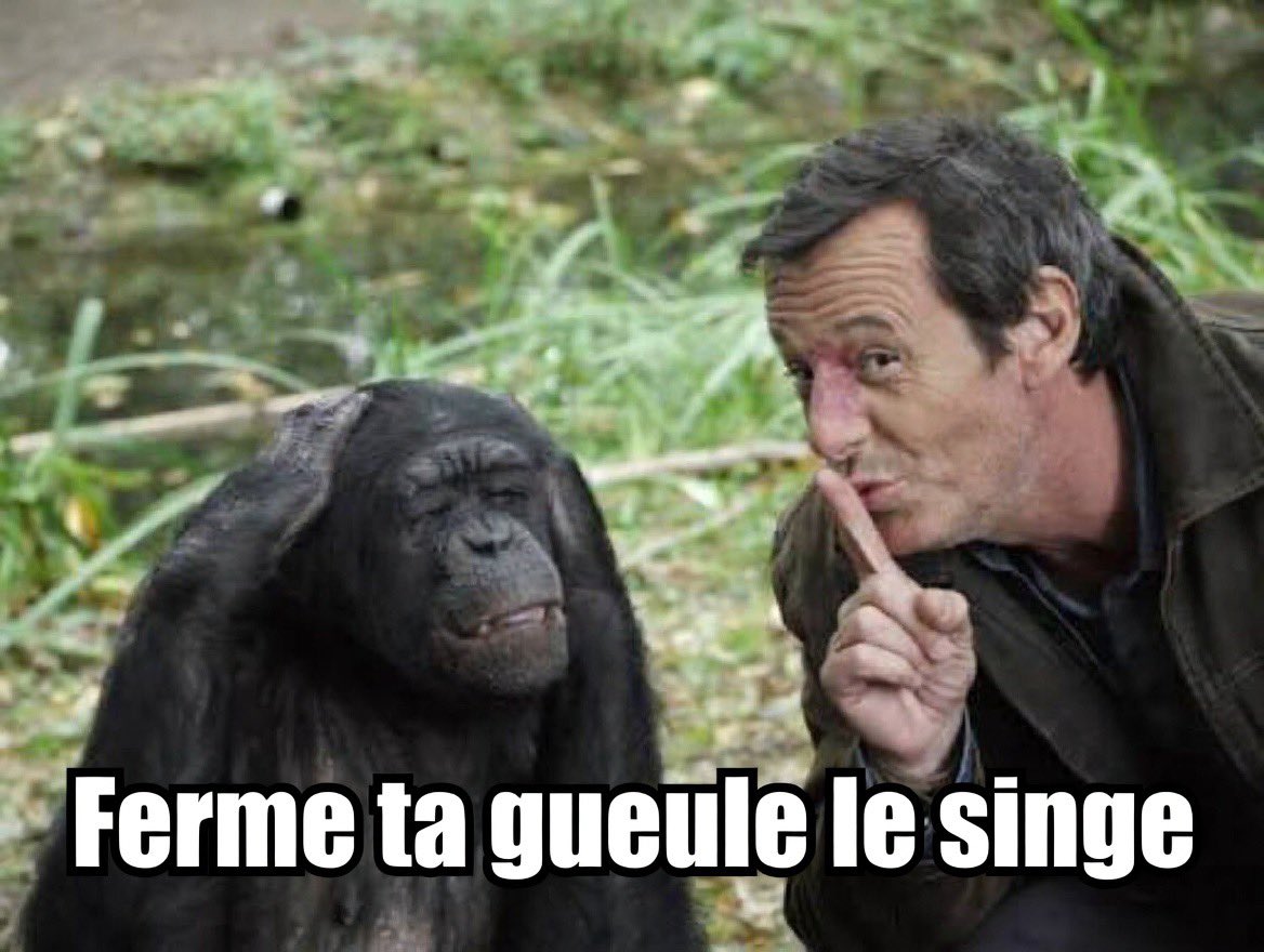 elmo le gogo tweet media