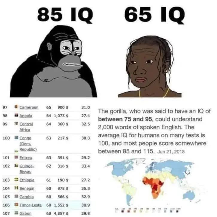 elmo le gogo tweet media