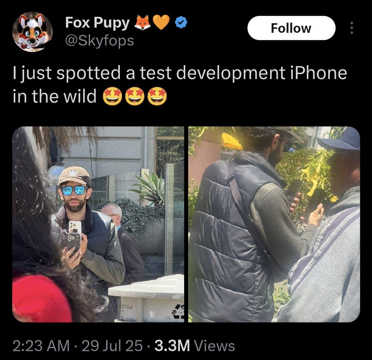 Noah Cat tweet media