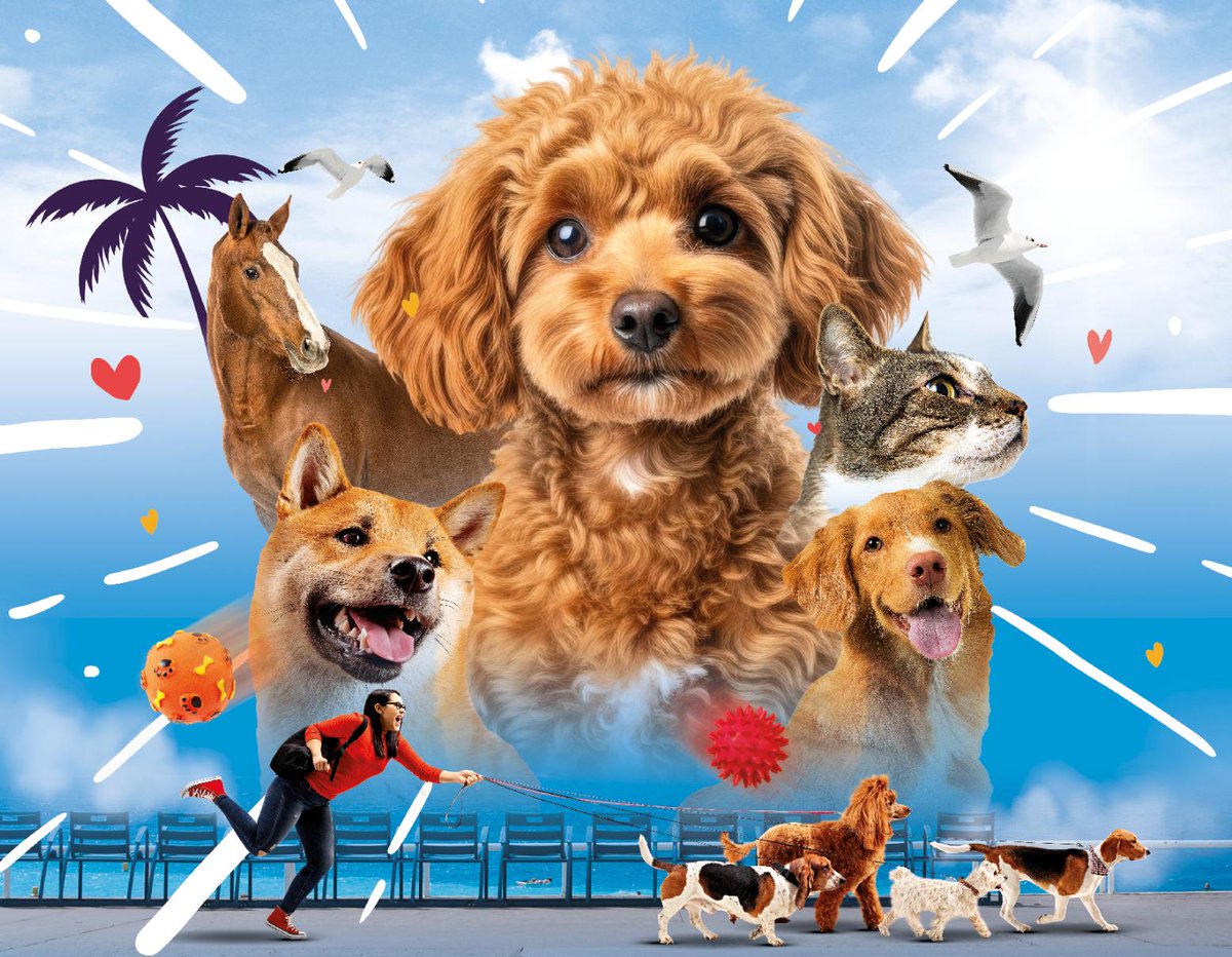 #NICE En ouverture de notre marche des animaux, le 22 mai, et en tête des participants, je souhaite que nous placions, tenus en laisse par militants, soutiens et amis de la cause animale, des chiens à adopter qui, je l'espère, pourront trouver là un foyer