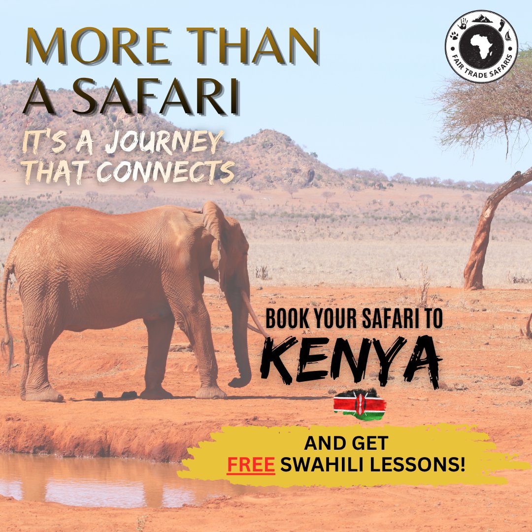 Fair_Trd_Safari's tweet image. More than a safari. It’s a connection. 🌍

Book your Kenya safari today + get FREE Swahili lessons 🇰🇪

Travel deeper. Travel better.
#FairTradeSafaris #LuxuryTravel #KenyaSafari