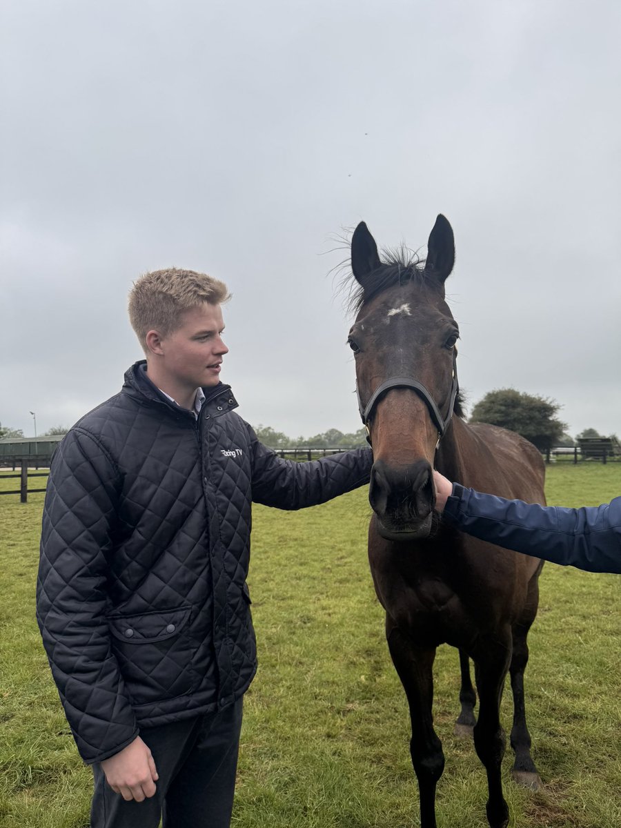 Joshua Stacey tweet media