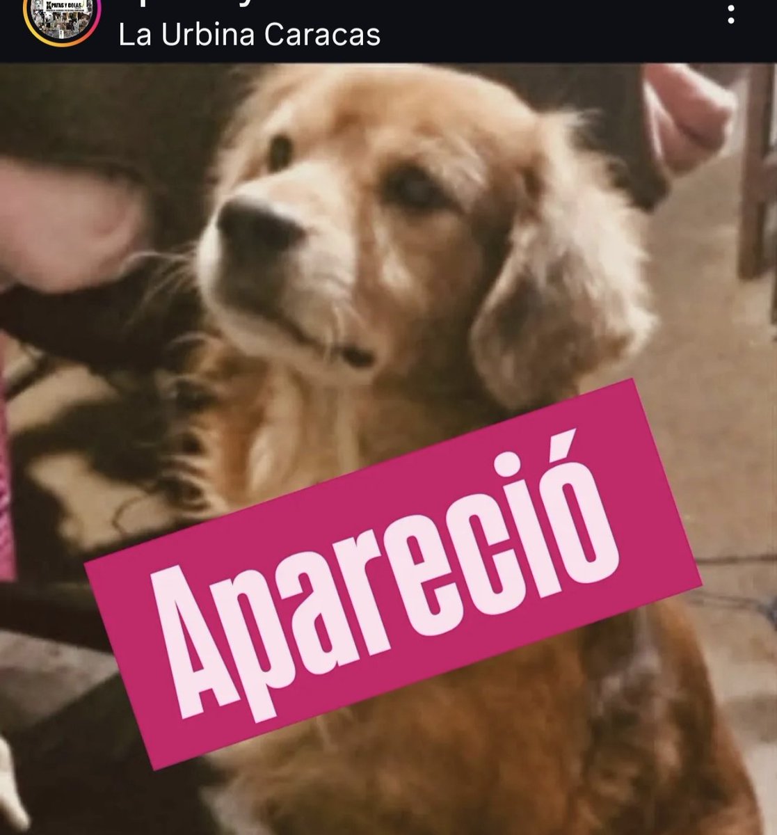 APARECIÓ CHOCO😇🙏🏻
Gracias a todos por difundir🫂
🥳🥳🥳🥳🥳🥳🥳🥳🥳🥳🥳