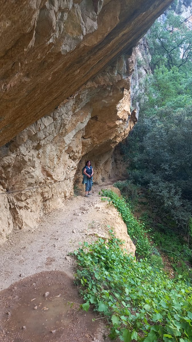 Hier noch ein paar Fotos von der Schlucht Congost de Mont-Rebei, Spanien.