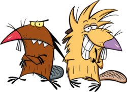 BenzATF's tweet photo. I guess you could call him an Angry Beaver https://t.co/c0SA6SzT8J