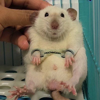 eclairgamesllc's tweet photo. HOT TAKE 002:

Arrest me if I believe that we should have a 7 days weekend!!!

#hottake #MondayMood #Mondayvibes https://t.co/ckPf5cXUJn