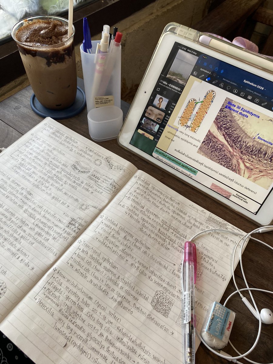 studywpx67's tweet photo. ช่วงนี้ลองไปนั่งคาเฟ่ที่ไม่ค่อยไป แล้วติดใจร้านนี้มาก ฟีลธรรมชาติที่ชั้นรักก (แต่ราคาแอบ☠️) แต่เริ่ด https://t.co/8g5efKPu7J