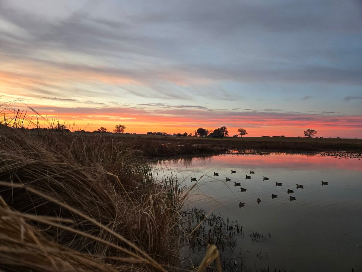 MO Conservation tweet media