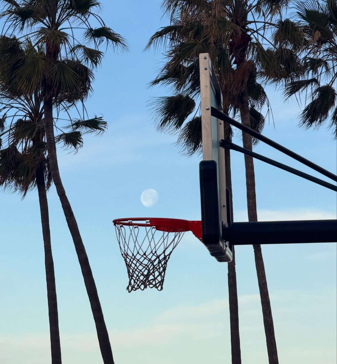 AndrewAsAlways_'s tweet photo. I’ve been taking my camera with me more often on every day strolls, to exercise my ability to notice. 

This was taken at Venice Beach this morning with my iPhone after a run, but had I not been practicing the art of noticing, I would have walked right by this fun moment. https://t.co/aQQ8bxhCYI
