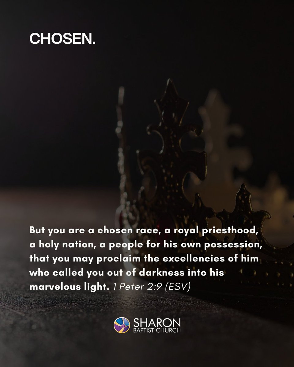Sharon Baptist Church tweet media