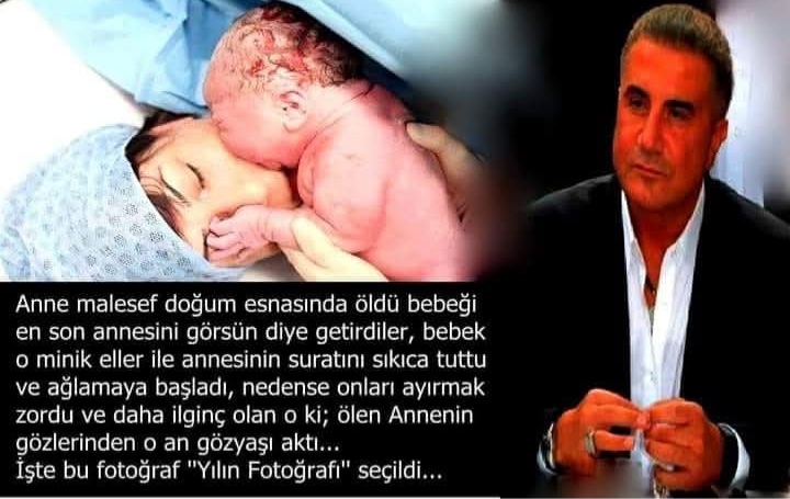 bozkurtbey18's tweet photo. @Vanliamcan @sedat_peker @alevtasdemir79 @ArslanMura61684 @babacanGokcerr @BarYlma40802651 @RSPyolunda @mstf_tunca @GulemogluY59276 @RSPESER @Mehmettalasinko @Gezal_klc INSAN Yaşatki  DEVLET yaşasın....ŞİYARİNA  UYUP  devletine  en büyük  hizmeti yapan  reis  @sedat_peker   Agabeyime Selam olsun ...  maşaallah rabbim.ismi gibi  aziz eylesin.. https://t.co/dVfVC9hPJH