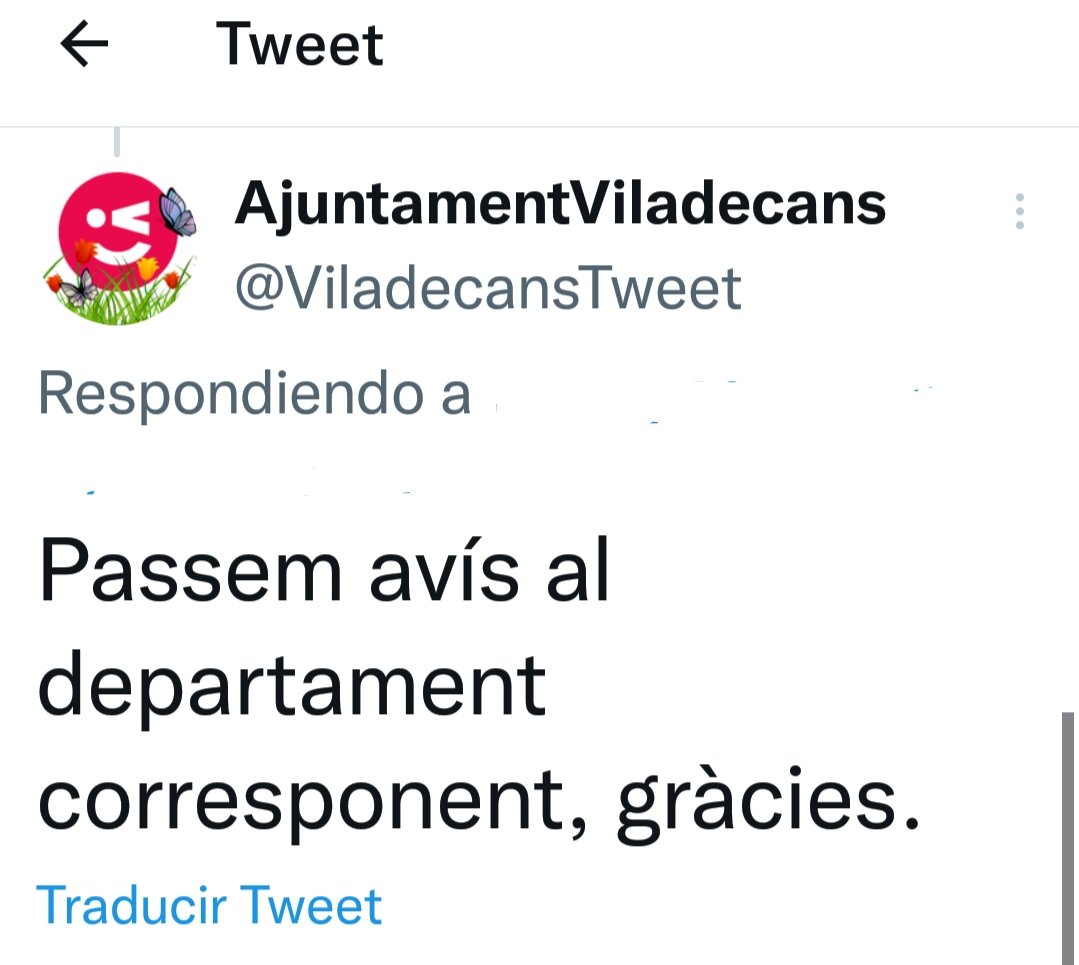 Pídeme lo que quieras tweet media