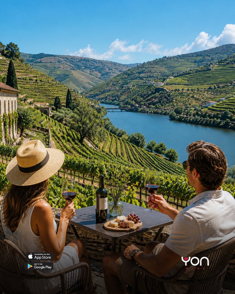 yon_wine's tweet photo. May is one of Portugal’s best-kept wine tourism secrets 🌿
Lush green vineyards, perfect weather, and fewer crowds — the ideal setting to discover great wines at their source.
Have you planned your next visit?

#YonWine #WineTourism #WineTravel #DiscoverPortugal https://t.co/emS5wOAQAh