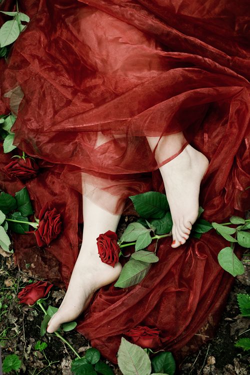 Mimosa💃🌹 tweet media