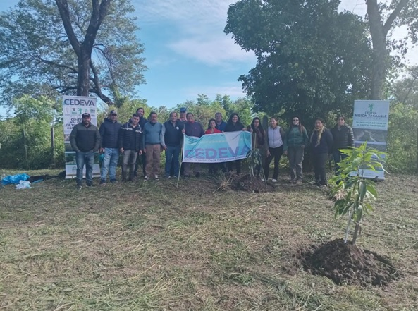 AgenforNoticias's tweet image. ➡ Cómo proteger el mango de las heladas: El CEDEVA realizó jornadas clave en el norte de Formosa

🌐 Nota completa: agenfor.com.ar/2026/05/como-p…

#Agenfor #CEDEVA #mango #jornadastécnicas #Formosa