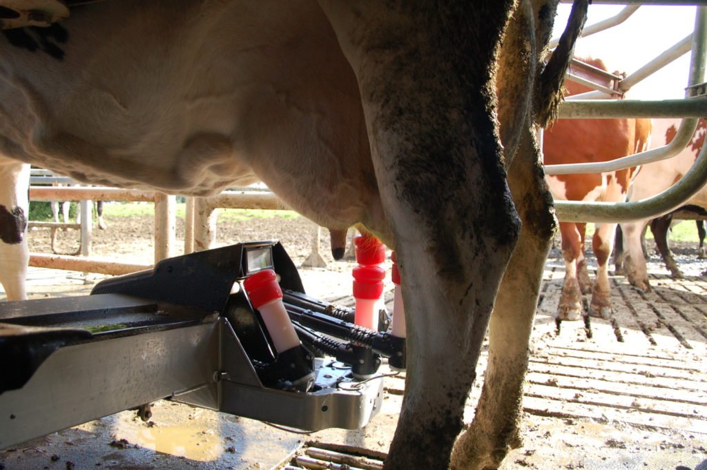 Conocer la Agricultura y la Ganadería tweet media