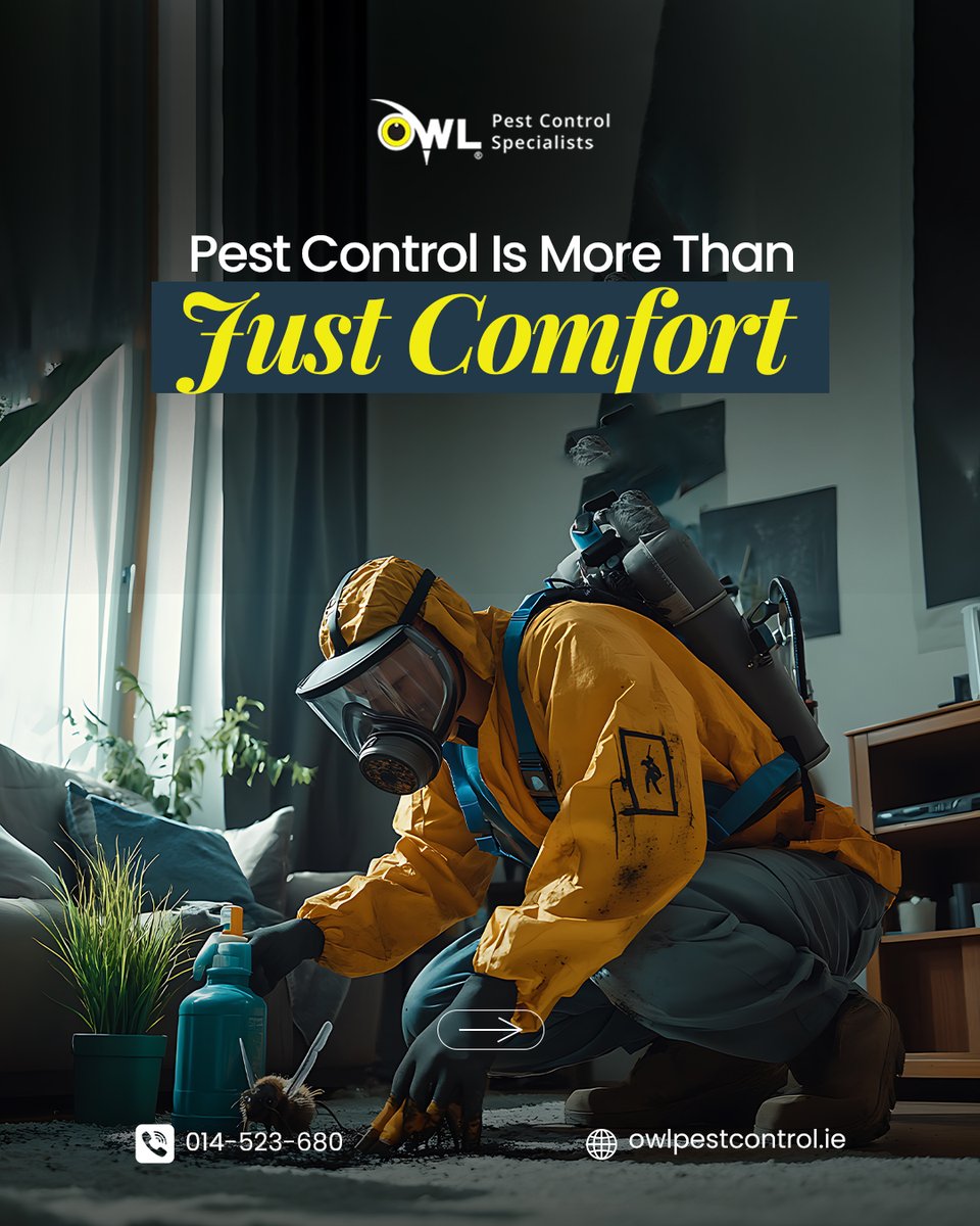 Owl Pest Control Dublin tweet media