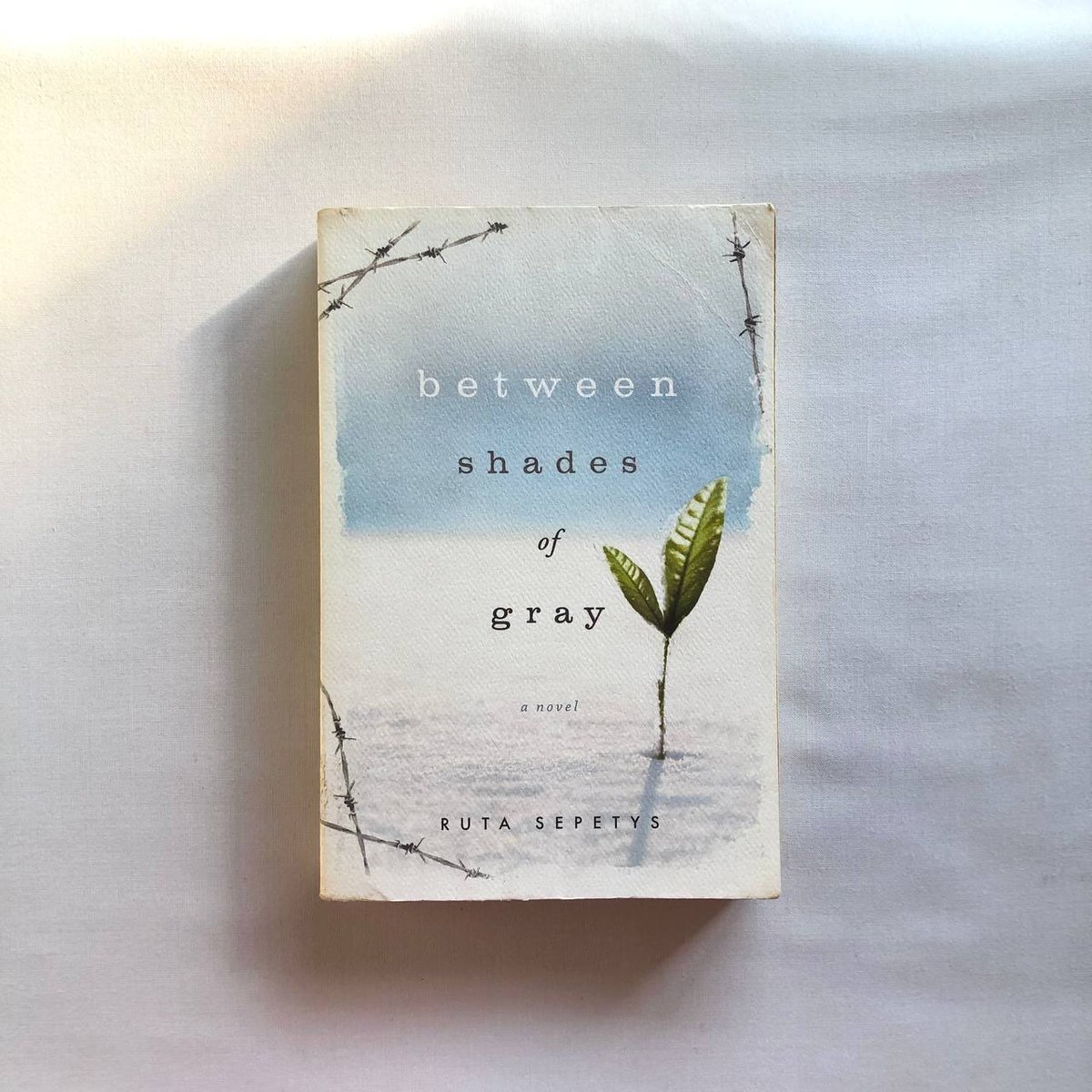 stwitcat's tweet photo. wts novel preloved original

The Blanket Cats 120k
Between Shades of Gray 120k
Record of a Night Too Brief (new) 135k
Welcome to the Hyunam-Dong Bookshop 145k

🍊 co lewat shopee + adm
✅ bisa splitpay

# wtb buku kiyoshi shigematsu ruta sepetys hiromi kawakami hwang bo reum https://t.co/KuvNFkofBC