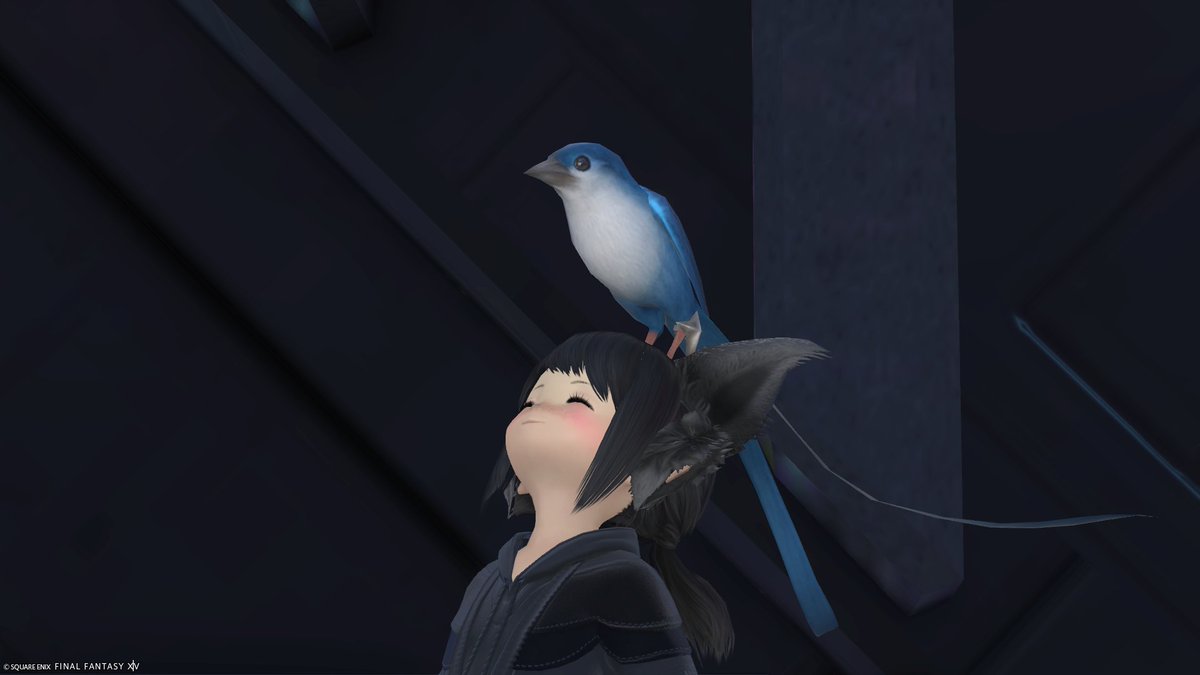 まめたろう tweet media