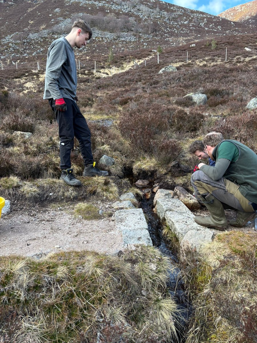 SRUC's tweet photo. NC Countryside Management students from our Elmwood campus returned from a few days at Balmoral Estate working with the estate Ranger Service. 
As part of their path work module lecturer Tony Wilson arranged for students to work alongside the Balmoral Estate Rangers at Loch Muick https://t.co/AVI52SqQel