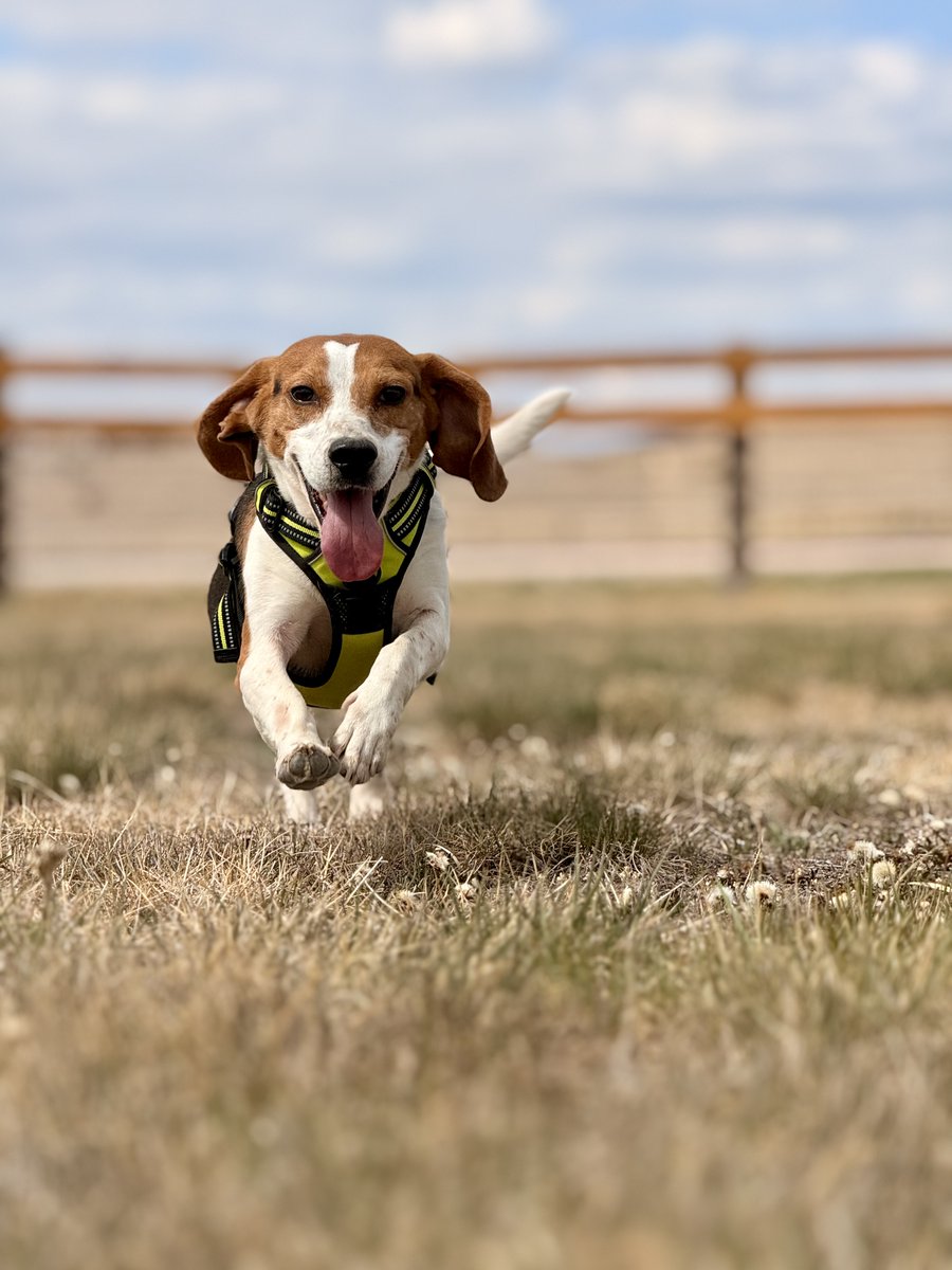 Kindness Ranch tweet media