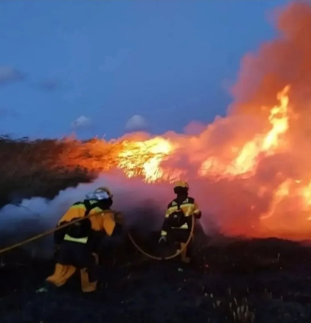 FormacionySalud's tweet photo. 4/05, Día del #BomberoForestal

A @PLANINFOEX @INFOCYL @incendios085 @IIFFAragon @bomberos_infoma @Plan_INFOCAM @Plan_INFOCA @UMEgob @AT_Brif (@BrifLaza @BRIFpradotwit @brif_iglesuela @BrifTineo @brifpuertopico),... GRACIAS !!

#IncendioForestal 🔥 #IIFF #IF #BomberosForestales https://t.co/hu5kQHZMR1