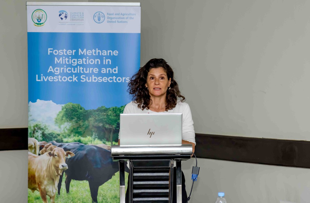 FAO in Rwanda tweet media