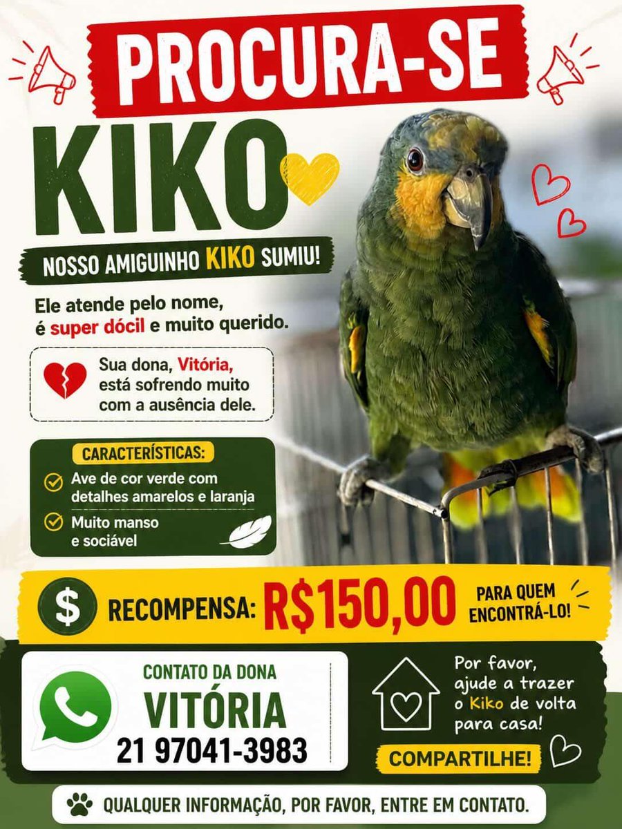 Taquara News tweet media