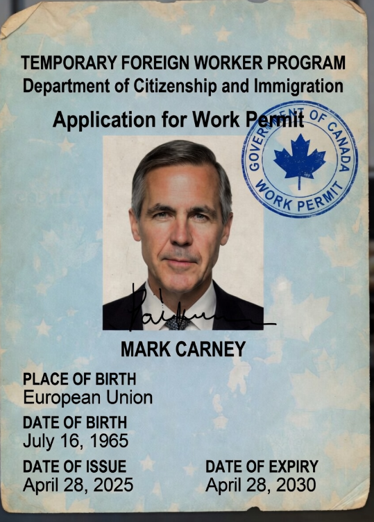Martyupnorth®- Unacceptable Fact Checker tweet media