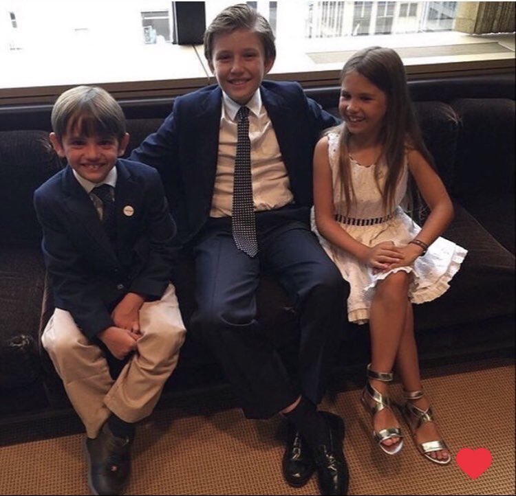 Three Little Trumps in 2017 🩵💙🩷
From left …
⚜️Donny 
⚜️Barron
⚜️Kai