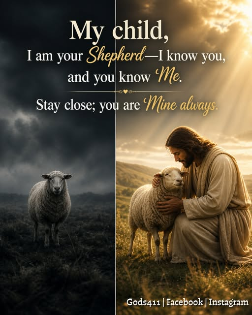 ✝️ Pittsburgh-Buz🇺🇸 tweet media