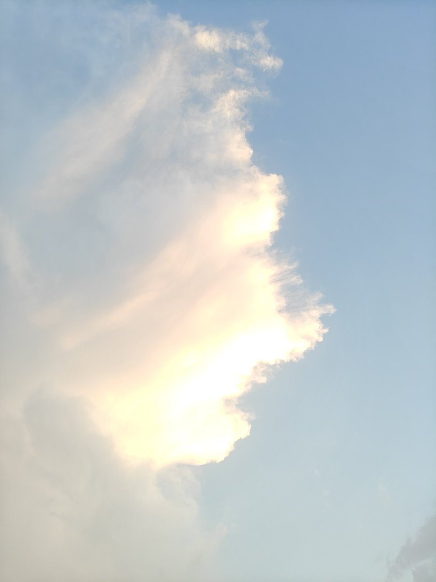 SinghH01_'s tweet image. May 4 ur Hues back to ur Canvas🌸💙
#JammuKashmir