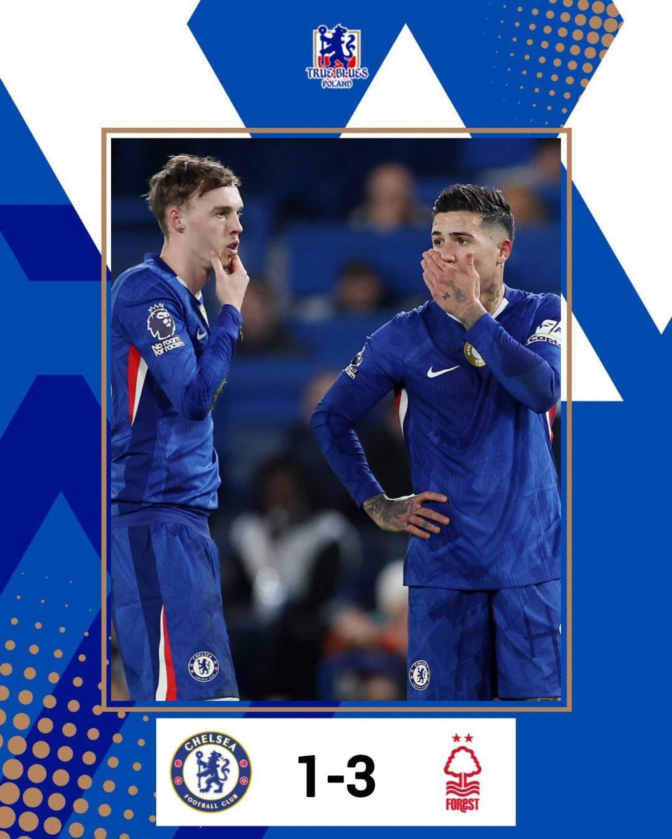 True Blues Poland - Chelsea Supporters Club tweet media