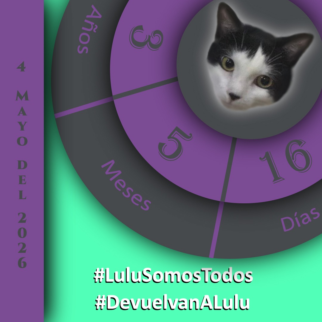 NuriTrejo's tweet image. #4May. #LuluSomosTodos, eres la sinergia del #Amor, nuestra razón y motivo. #DevuelvanALulu, es lo justo. #LuluEsElMilagro, lo que ha de ser. Ángel Perfecto, encuéntrala! Gracias