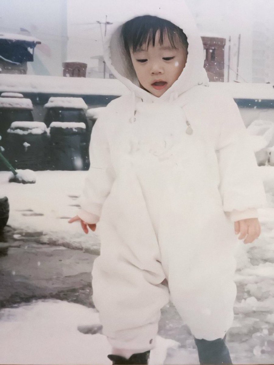 디니 tweet media