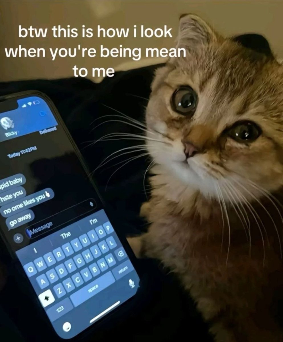 smol silly cat tweet media