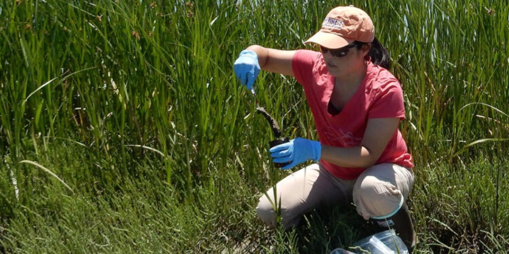 USGS Water Resources tweet media