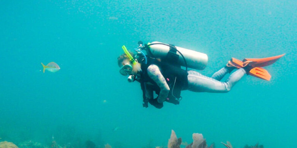 USGS Water Resources tweet media