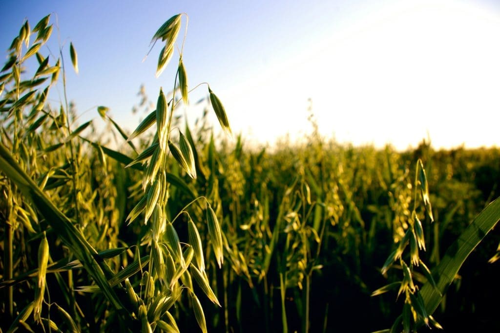 National Agricultural Law Center tweet media