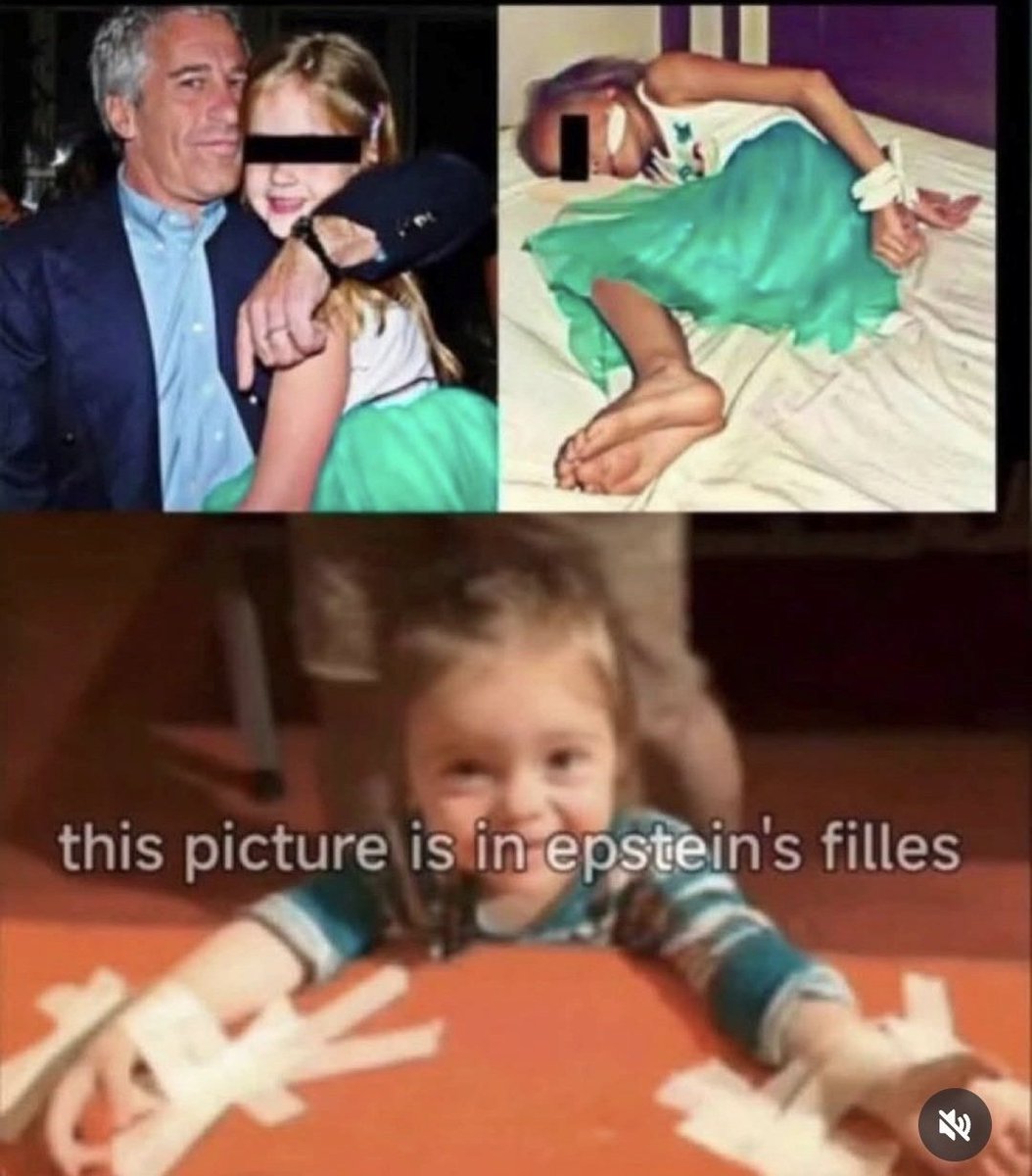 MemeMaestro🪷 tweet media