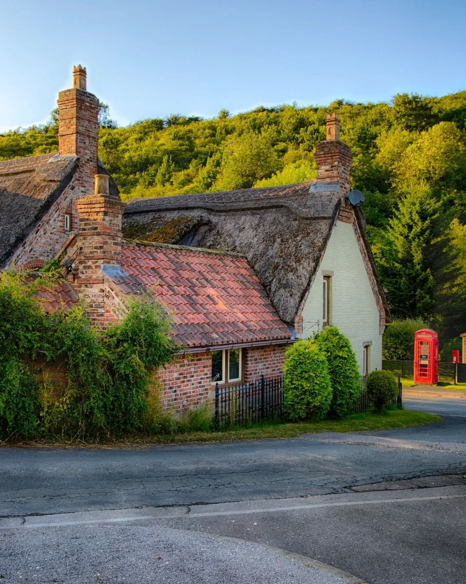 North Yorkshire tweet media