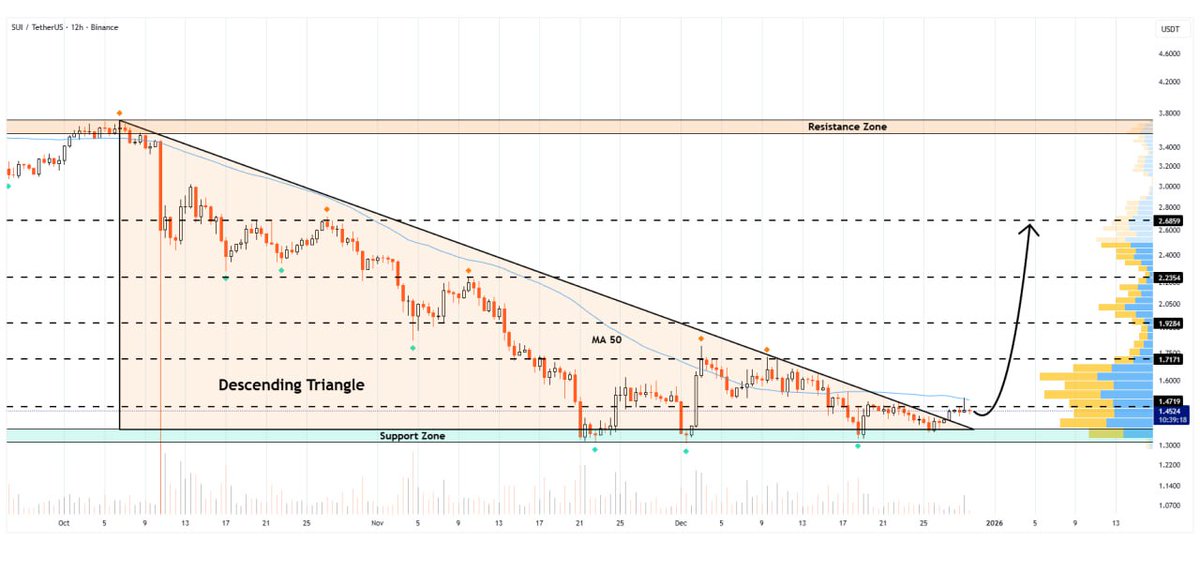 Whales_Crypto_Trading 🐋 tweet media